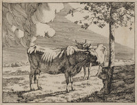 TvB G 0475
<br/>
Twee staande koeien
<br/>
<em>Bije, Marcus de (1639-ca. 1690)</em>
